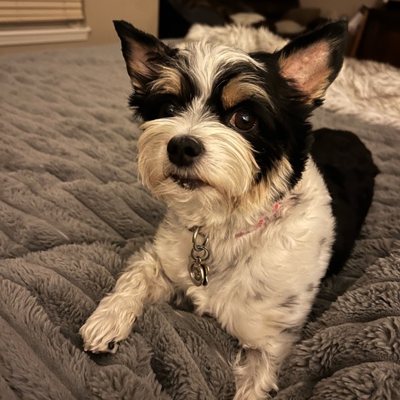 Clothing, jewelry and Bags - Picture 9 of 17